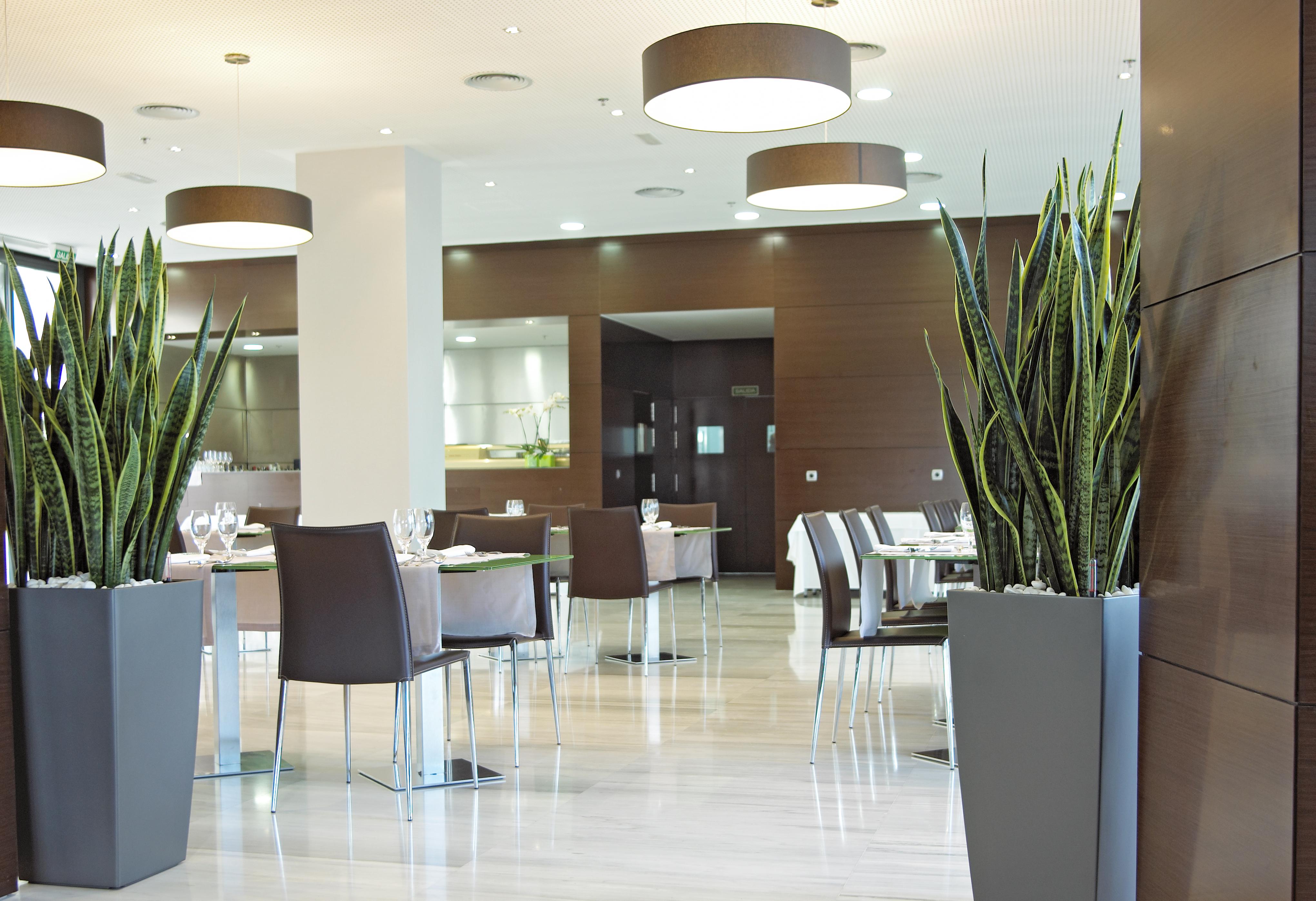 Sercotel Jc1 Мурсия Ресторан фото